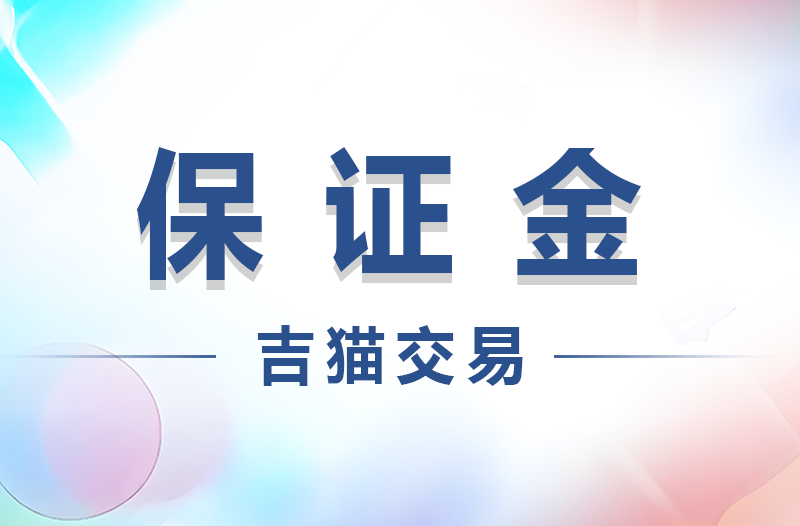 保证金的充值提现和收付款记录